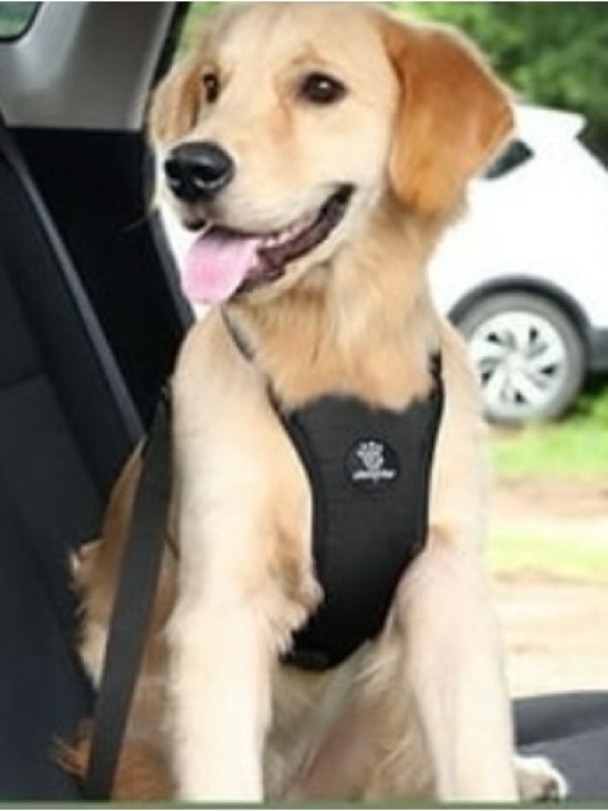 Other - VavoPaw Black Dog Vest Harness Adjustable Soft Padded Mesh, [Size Medium]